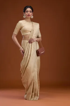Beige Zariwork Silk Saree
