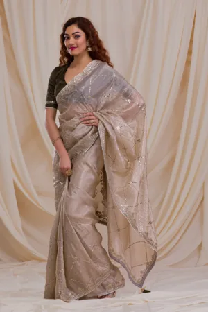 Beige Gotapatti Tissue Saree