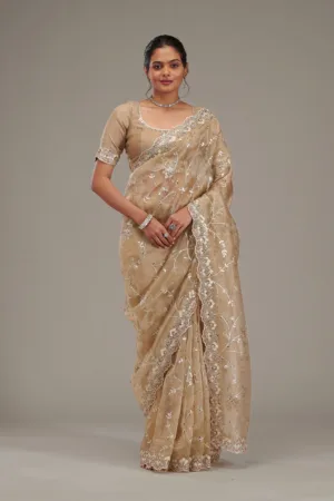 Beige Zariwork Tissue Saree