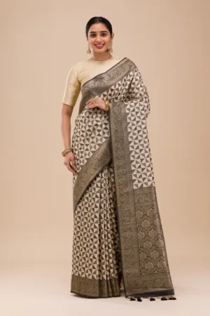 Black Zariwork Silk Saree