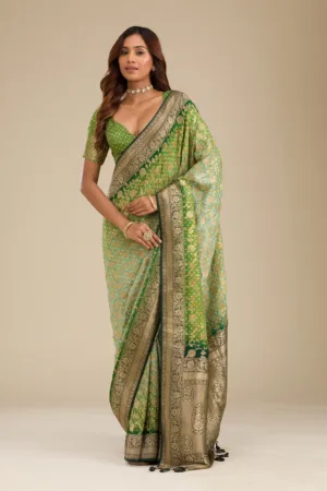 Leaf Green Zariwork Georgette Saree