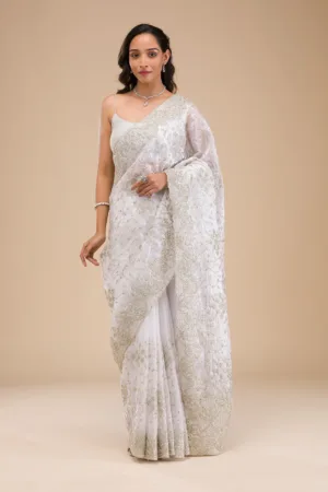 Off White Zariwork Tissue Saree