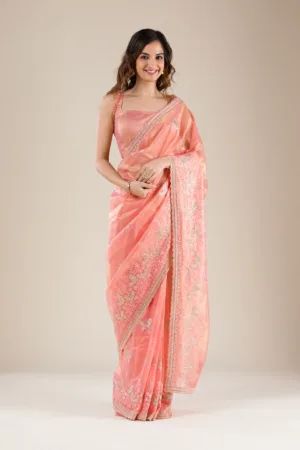 Peach Stonework Tissue Saree