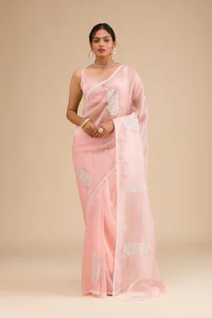 Peach Threadwork Tissue Saree
