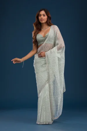 Pista Green Stonework Tissue Saree