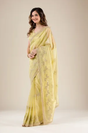 Pista Green Zariwork Tissue Saree