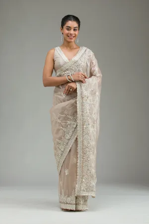 Beige Zariwork Tissue Saree